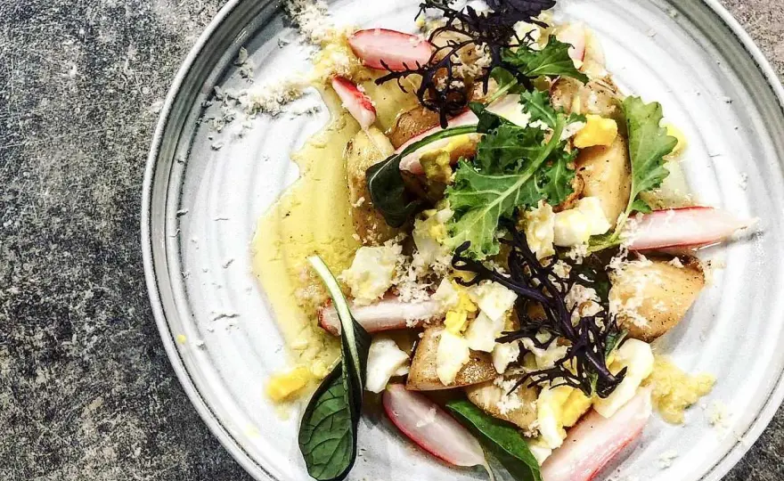 Vit sparris i sallad och som tillbehör - så lyckas du