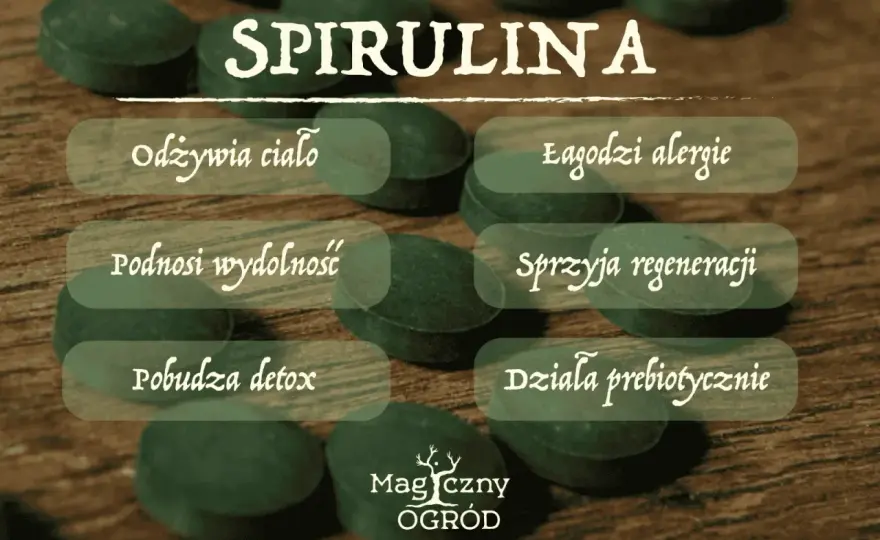Spirulina - co to jest i kiedy warto po nią sięgnąć?