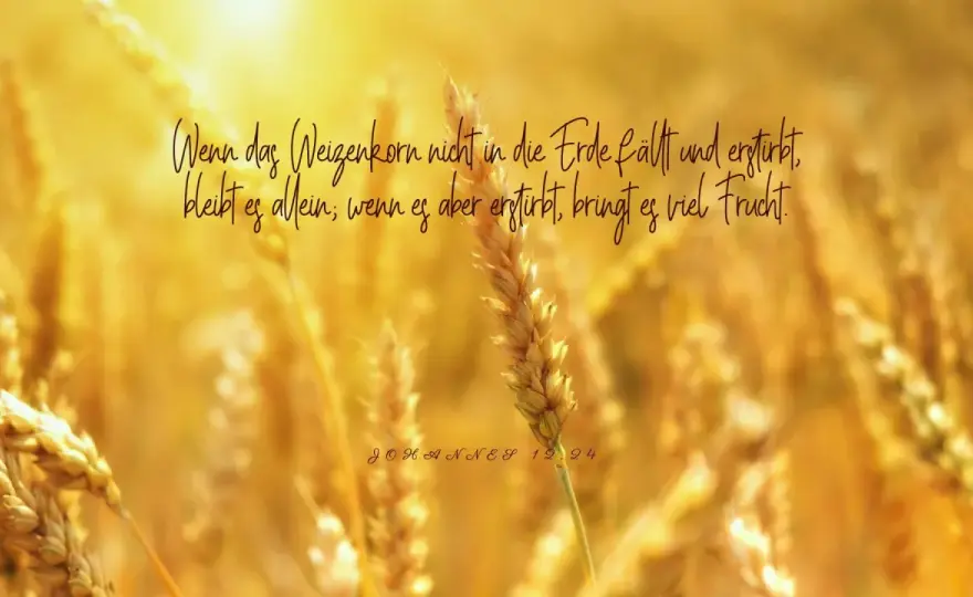 Johannes 12,24 - Frucht durch Hingabe verstehen