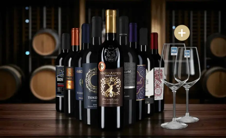 Guter Rotwein 2026 - Die besten Flaschen & Kauf-Tipps
