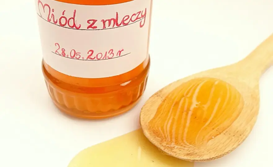 Jak zrobić miód z mleczy – prosty przepis na zdrowy syrop z mniszka