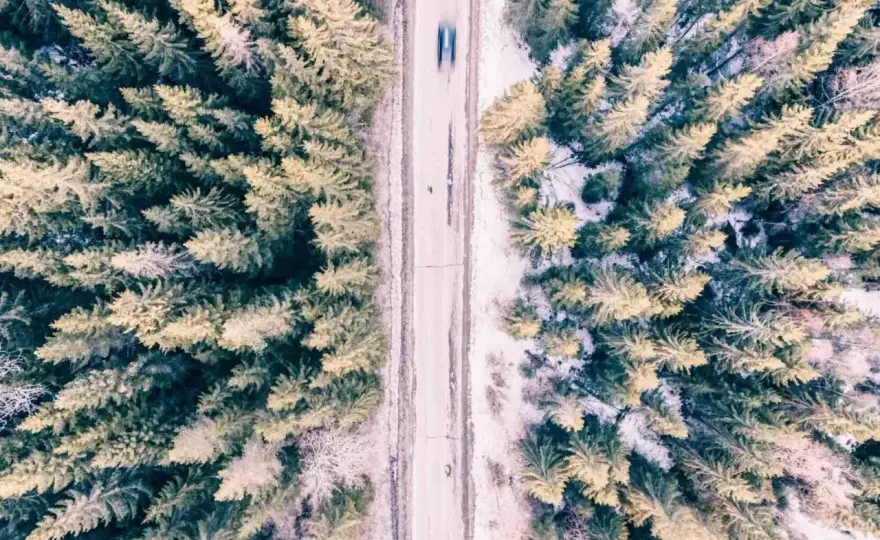 Kompozycja diagonalna w fotografii - Jak jej używać?