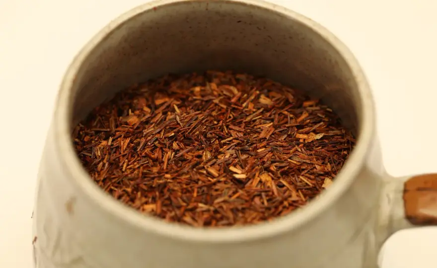 Czerwona herbata - pu-erh czy rooibos? Jak wybrać i parzyć?