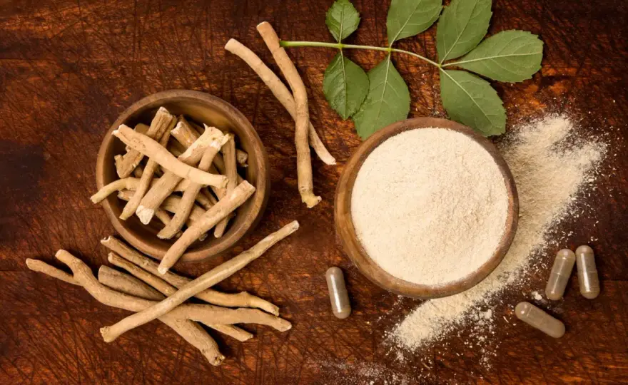 Ashwagandha - Dopo quanto fa effetto? Tempi reali e benefici