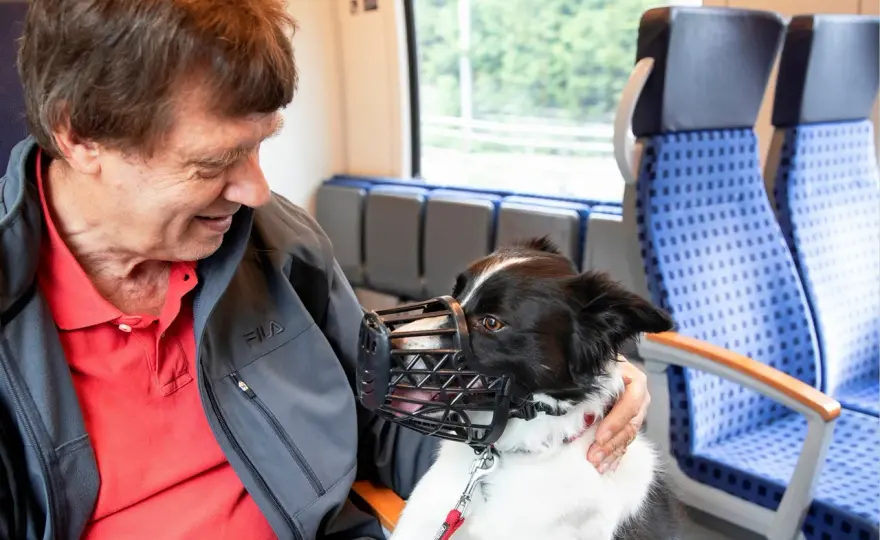 Hund im Bus NRW - Regeln, Kosten & Tipps für entspannte Fahrten