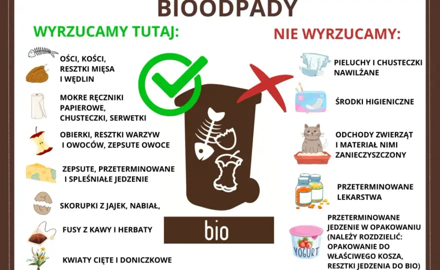Gdzie wyrzucać mięso i kości? Proste zasady segregacji