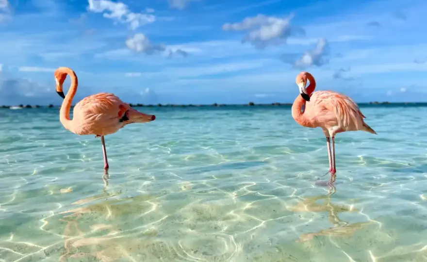 Beste Reisezeit für Aruba - wann sich die Insel am meisten lohnt