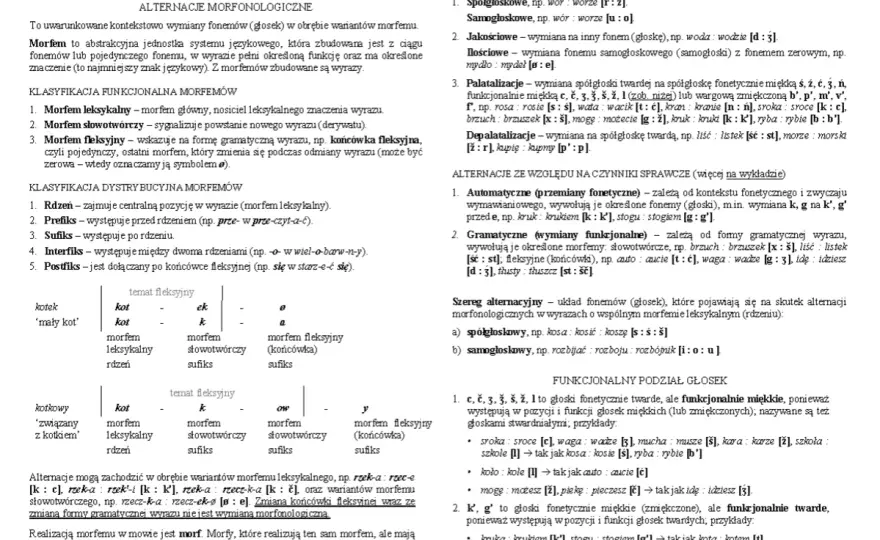 Zmiana głoski w wyrazie - dlaczego zmienia znaczenie?