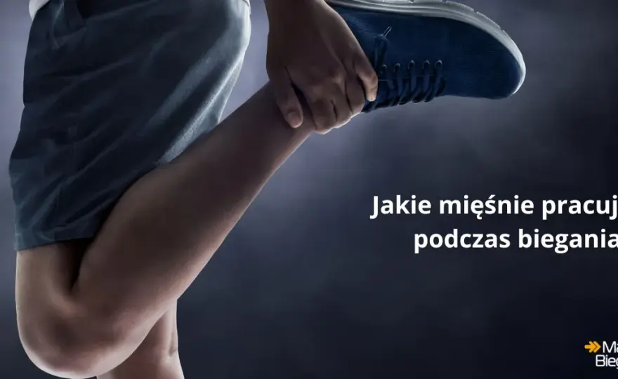 Jakie mięśnie pracują podczas biegania? Biegaj mądrzej!