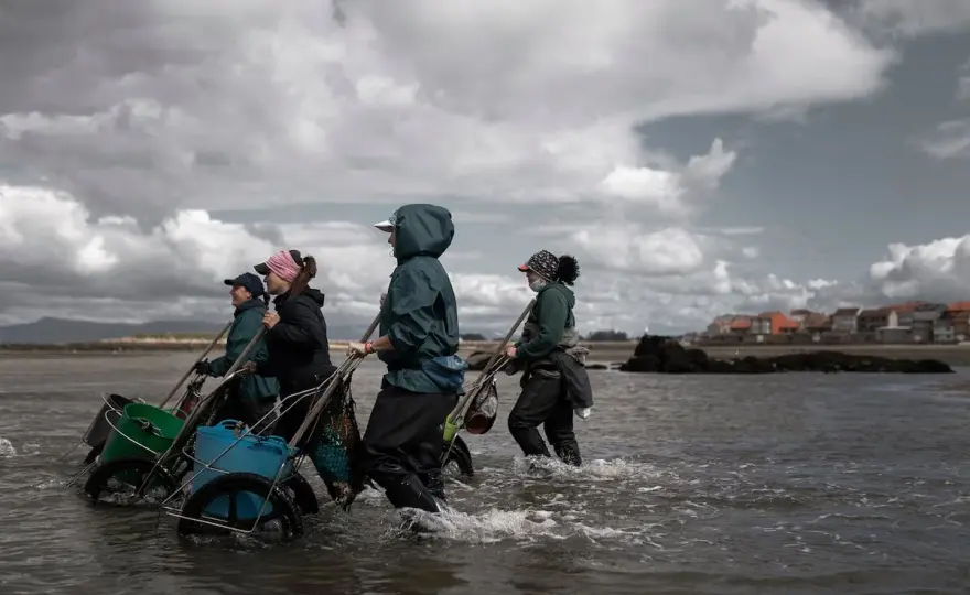Mariscadoras en Galicia - así trabajan y se vende el marisco