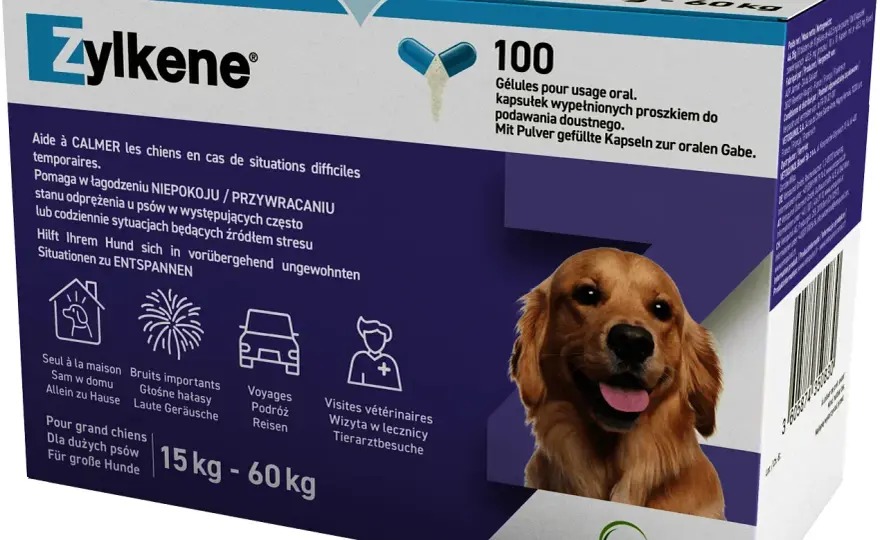 Tabletki na stres dla psa - skuteczne środki uspokajające