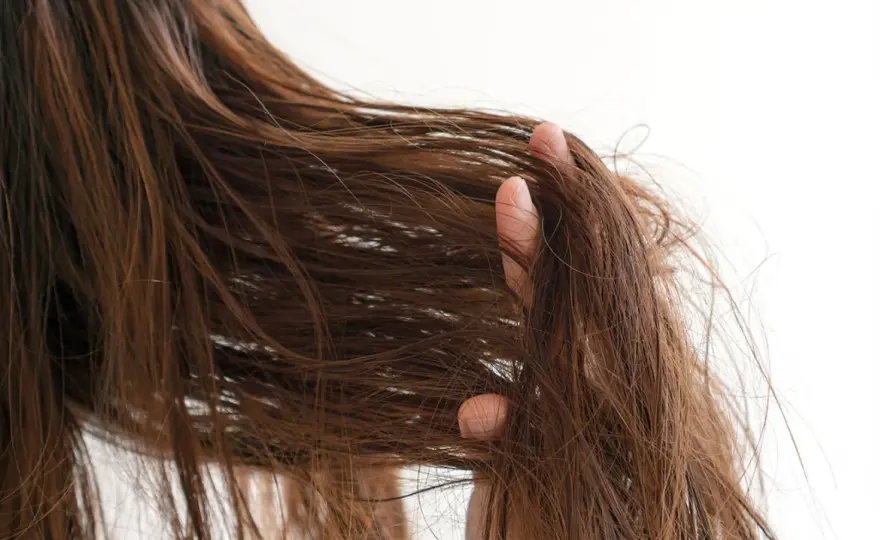 Trockenes Haar? So wird es wieder geschmeidig & glänzend!