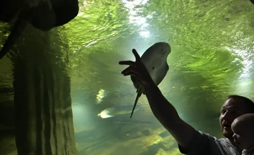 Oceanarium Międzyzdroje - Czy warto? Opinie, ceny i porady