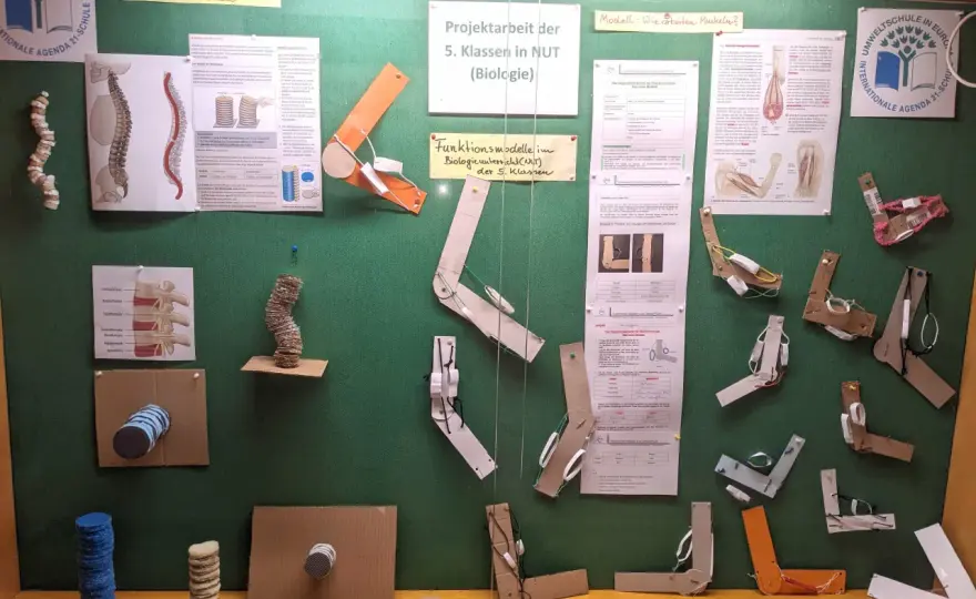 Projektarbeit im Unterricht - Mehr als nur Basteln?