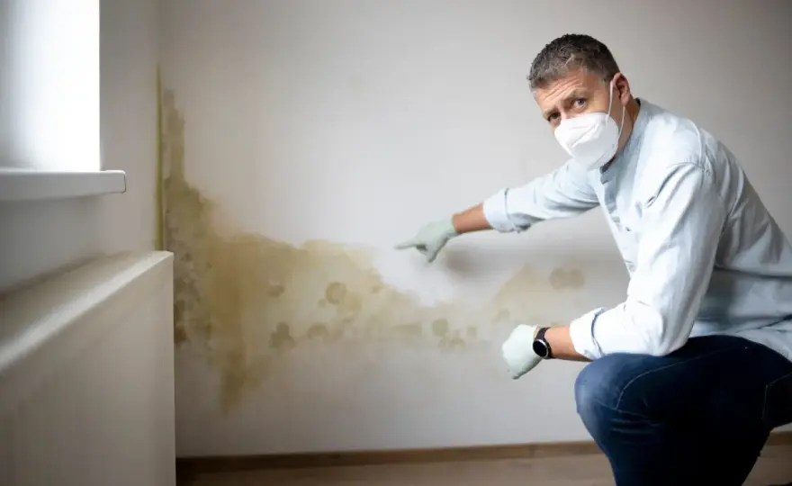Schimmel an der Wand: Früh erkennen & richtig sanieren