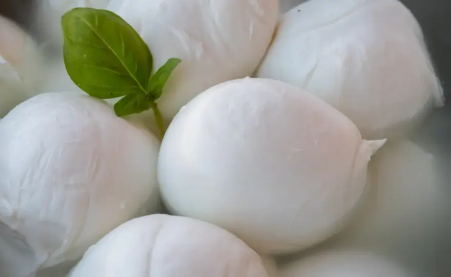 Czy mozzarella jest tłusta? Sprawdź fakty i kalorie!