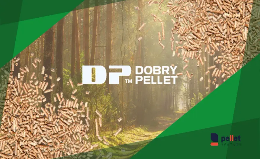Jaki pellet jest najlepszy? Certyfikaty, parametry i praktyczny wybór