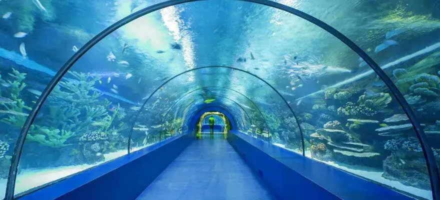 Oceanarium Antalya - Niezapomniane atrakcje i wskazówki dla odwiedzających