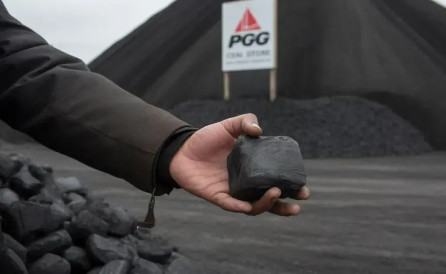 Ekogroszek PGG: Jak kupić krok po kroku? [Poradnik]
