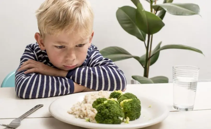 Enfant difficile à table - Repas salés qui marchent vraiment