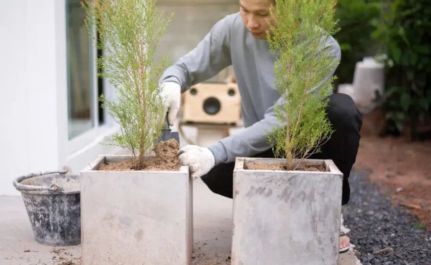 Betonowe donice DIY: Kompletny poradnik. Uniknij błędów!