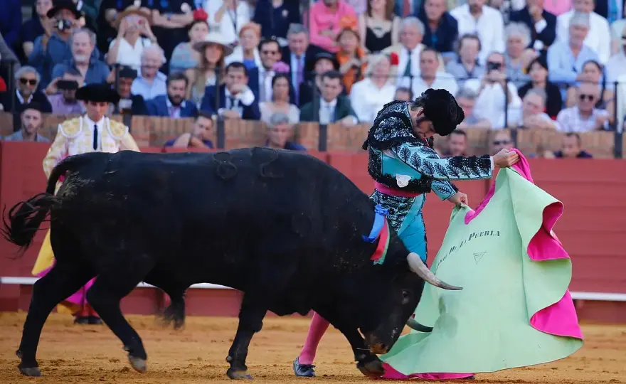 Toros de un torero - Lo que hay detrás de cada faena