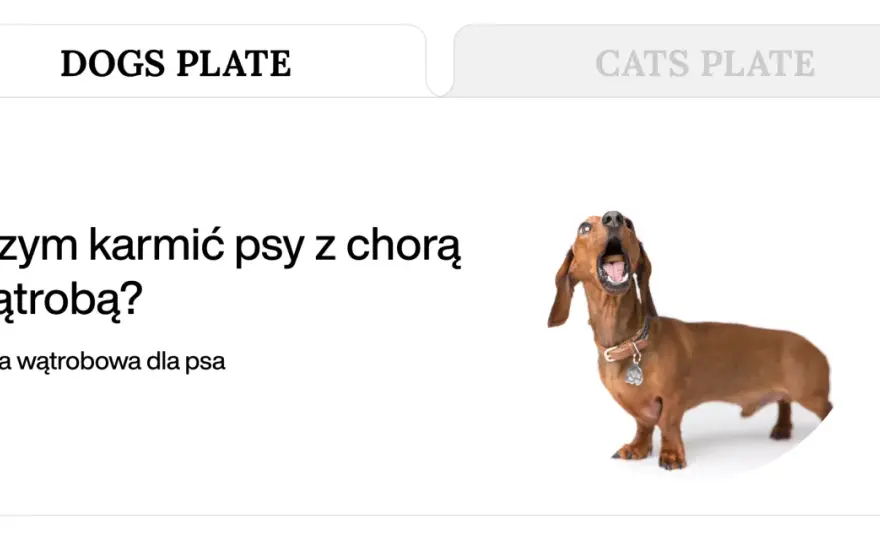 Dieta wątrobowa dla psa - co podawać i jakich błędów unikać?