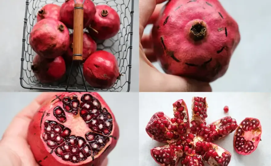 Czy pies może jeść granata? Sprawdź, jakie są zagrożenia i zasady