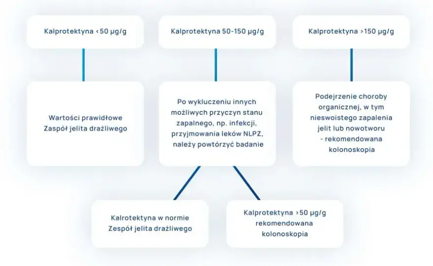 Wysoka kalprotektyna w kale: Co to oznacza dla twojego zdrowia?