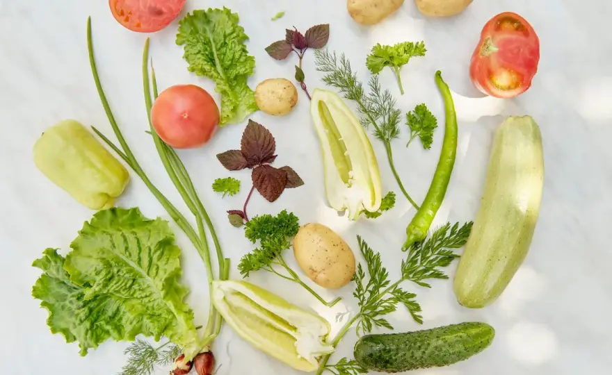 Co jedzą wegetarianie - Zdrowa dieta roślinna krok po kroku