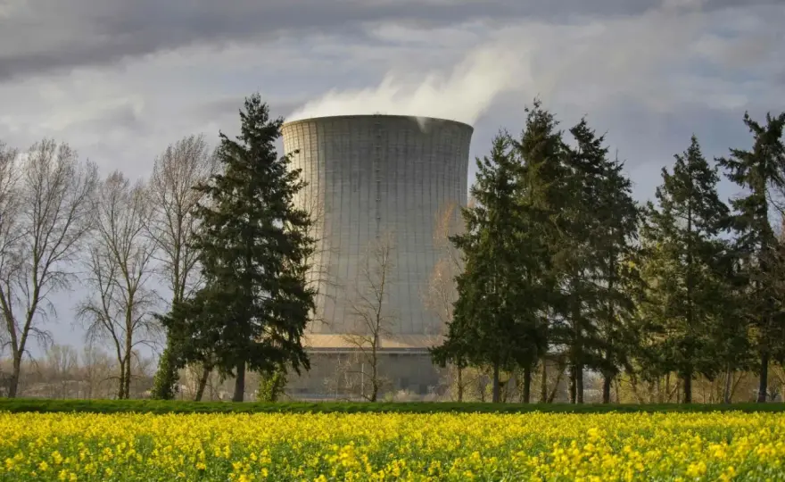 Elektrownia atomowa w Polsce - fakty i mity. Czy to opłacalne?