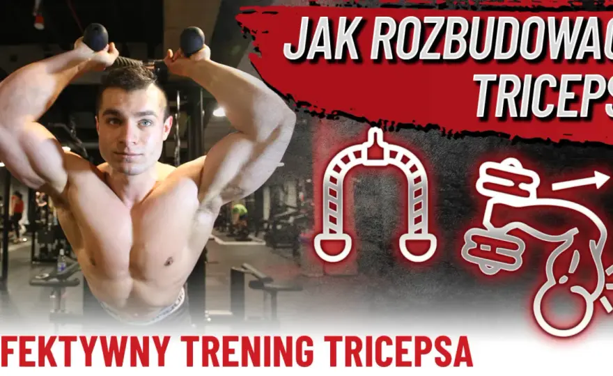 Triceps - Jak trenować, by rósł? Najlepsze ćwiczenia i plan