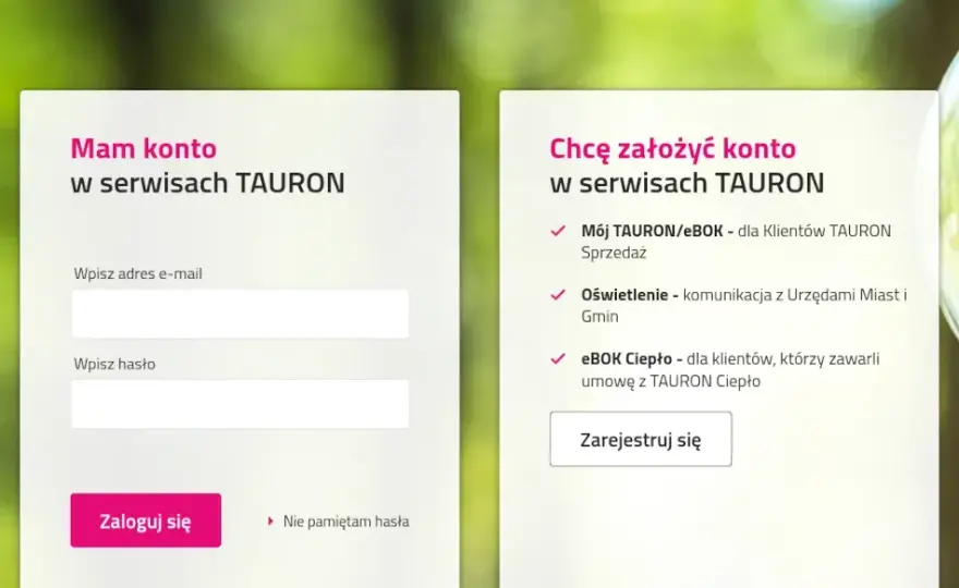Jak uzyskać pełnomocnictwo Tauron i na co zwrócić uwagę? 