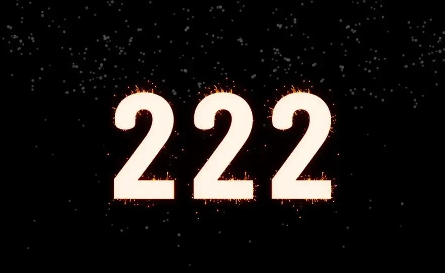 Numer 222 - Co to znaczy? Rozszyfruj i bądź bezpieczny!