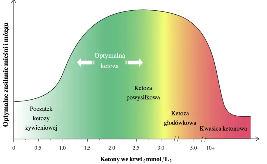 Kiedy ketoza? Ile dni na wejście w ketozę i co na to wpływa