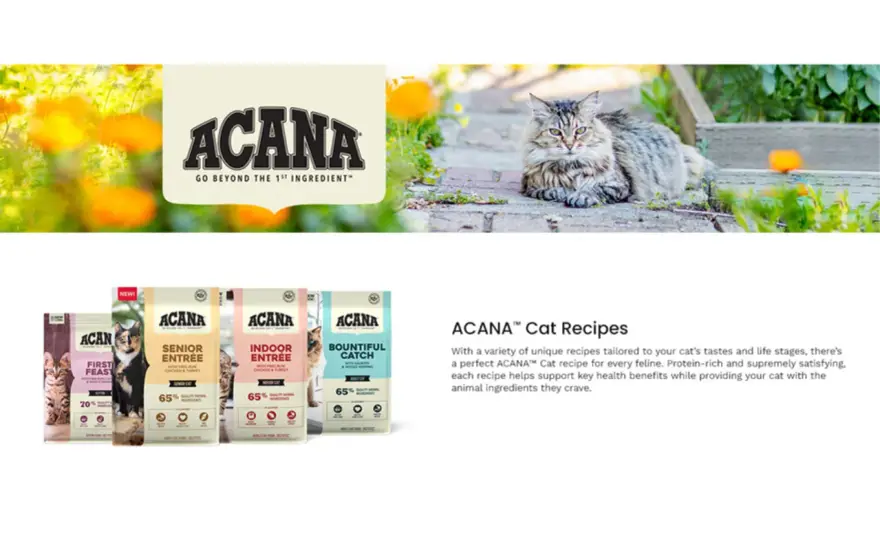 ACANA Highest Protein Indoor Cat Food - Is It Right For Your Cat?