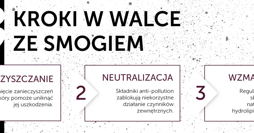 Jak skutecznie zgłosić smog? Poradnik krok po kroku