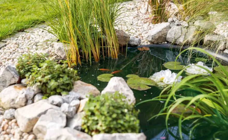 Naturteich im Garten pflegen - so bleibt das Wasser im Gleichgewicht