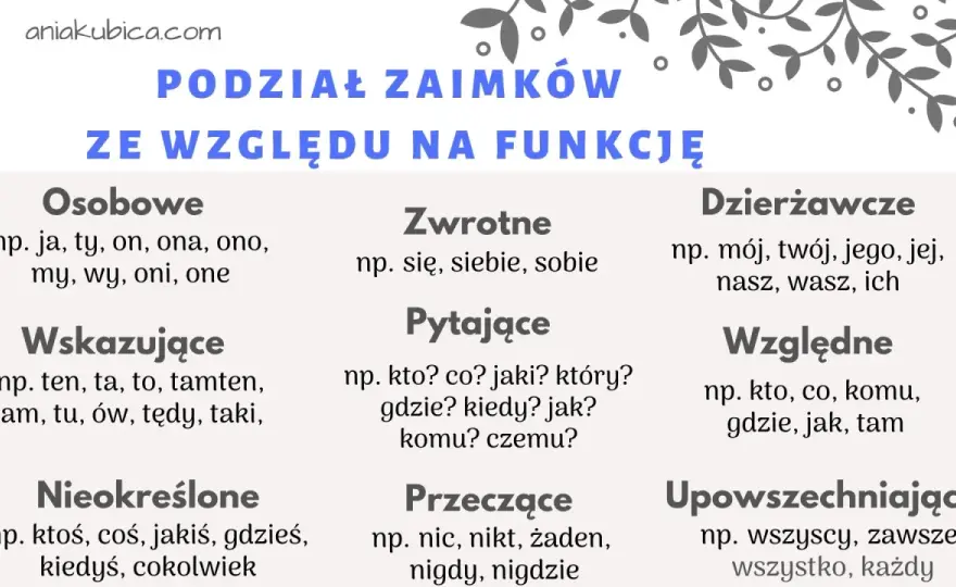 Zaimek - Co to jest i jak go używać bez błędów?