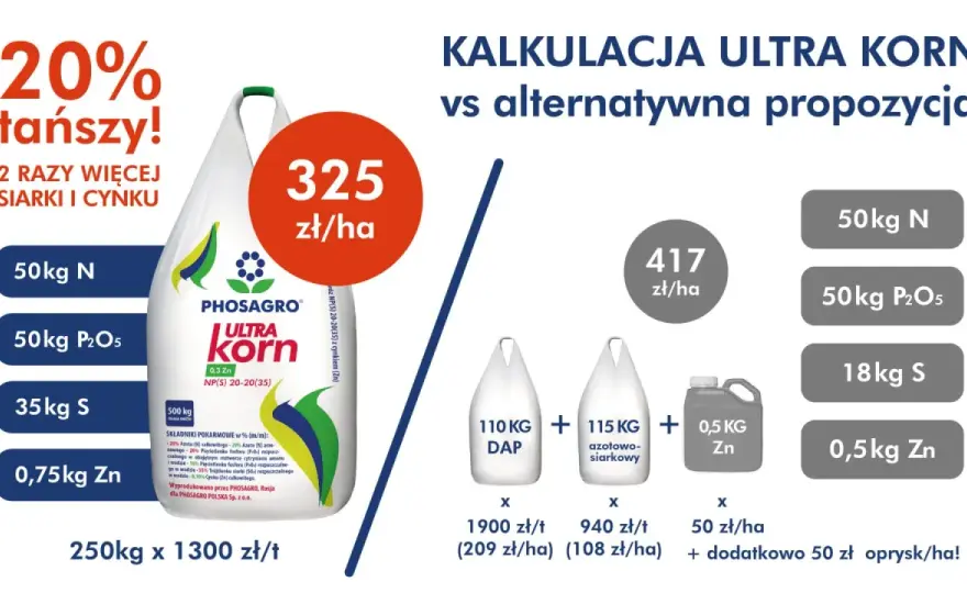 Jakie nawozy pod kukurydzę - Zwiększ plon i zysk