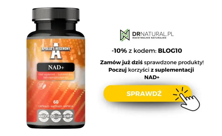 NADH - Energia czy mit? Sprawdź, co mówią badania!