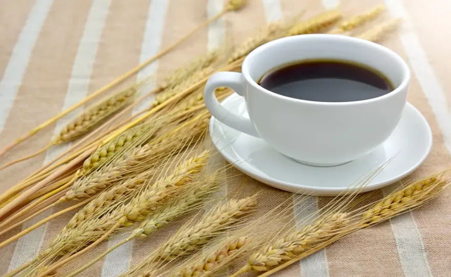 Caffè d'orzo - La guida completa: gusto, tipi e preparazione