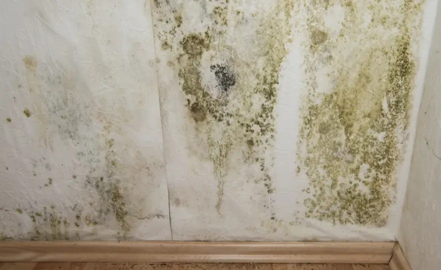 Condensation sur un mur intérieur - les vraies solutions