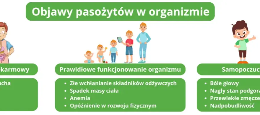 Tłuszczowe stolce i zmęczenie? Sprawdź objawy zaburzeń wchłaniania