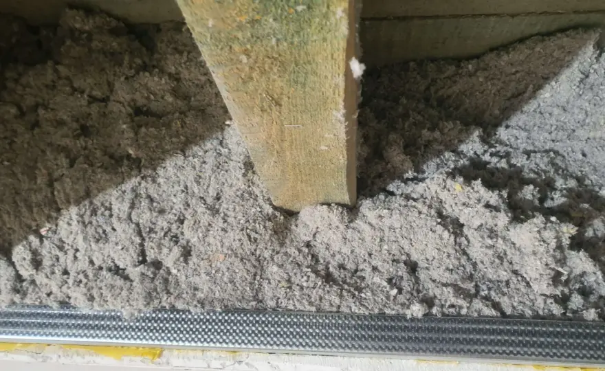 Celuloza w budownictwie - Czy to izolacja dla Twojego domu?