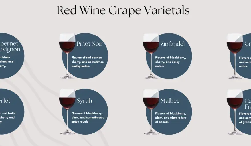 Merlot, Syrah, Malbec: Które czerwone wino wybrać?
