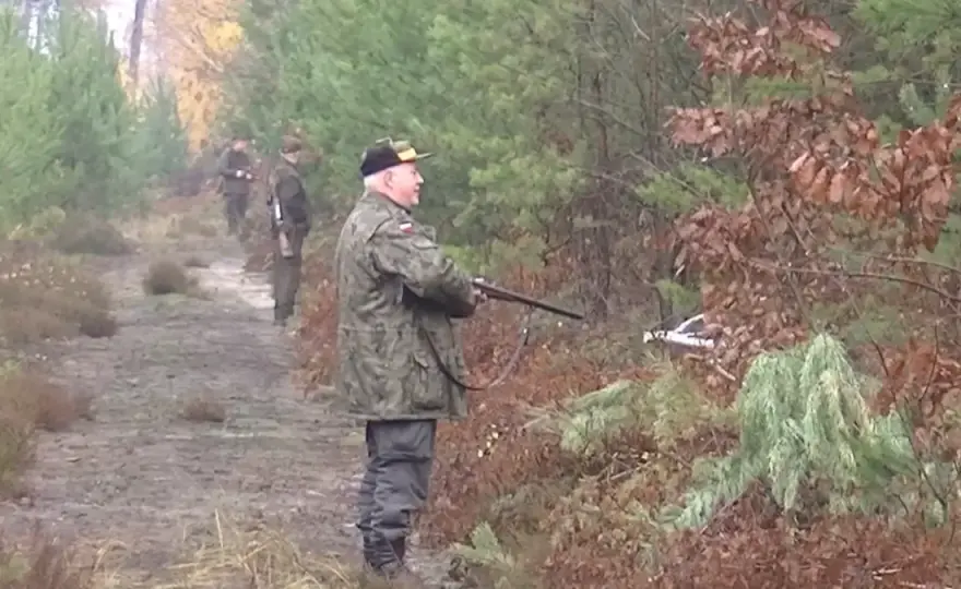 Jak sprawdzić, gdzie polują myśliwi? Bezpieczeństwo w lesie