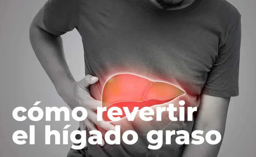 Medicamentos para el hígado graso: opciones y tratamientos efectivos