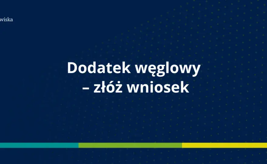 Dodatek węglowy już nie działa? Sprawdź, co działa zamiast niego