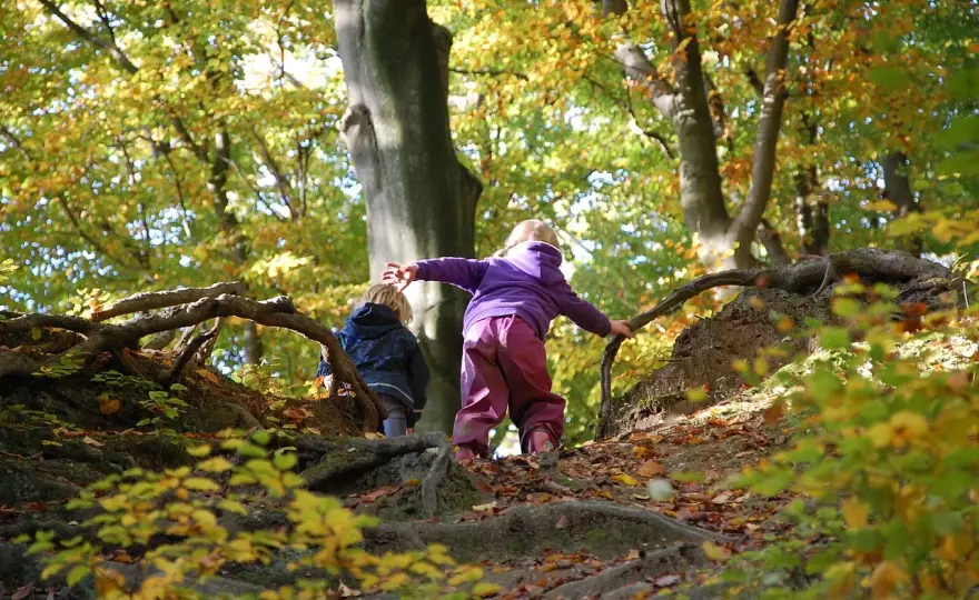 Waldkindergarten & Schulstart - Bereitet er mein Kind vor?